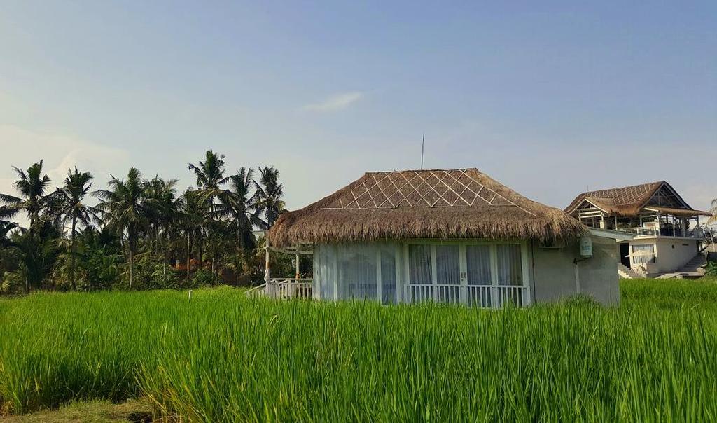 Hotel Barn N Bunk Payangan Exteriér fotografie